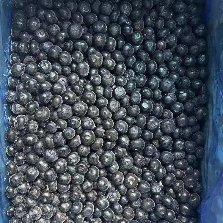जमेको ब्लुबेरी प्रीमियम IQF ब्लूबेरी