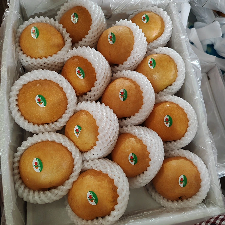 प्रिमियम शिंगो नाशपाती