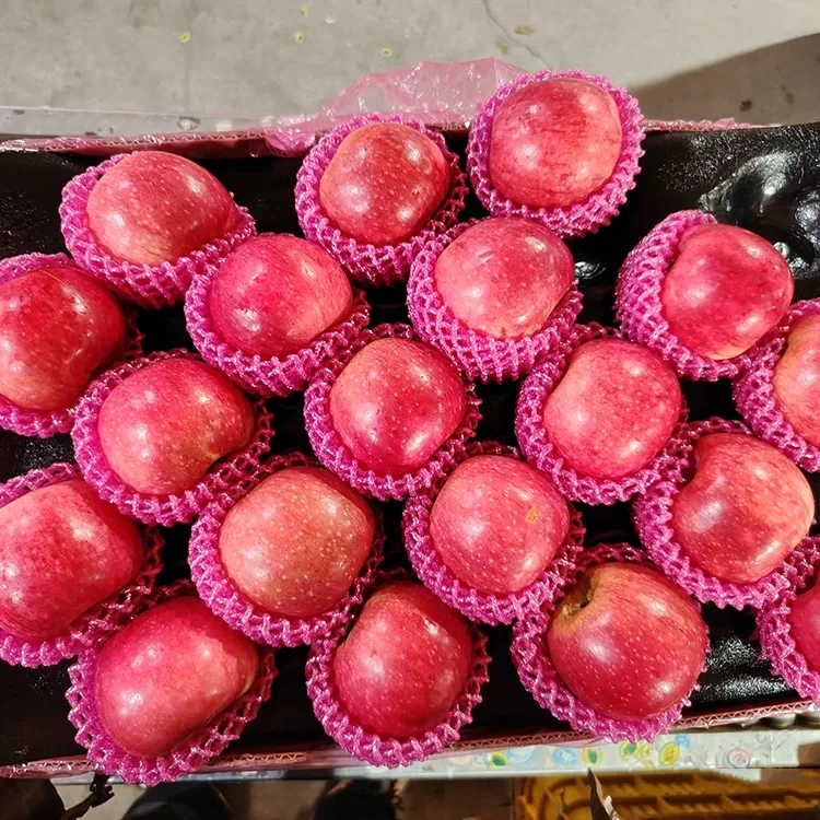 सुपीरियर ताजा जिगुआन स्याउ